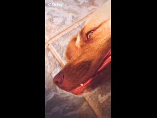 Confusing perspectives