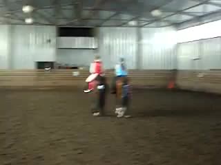 8 марта петух и осёл