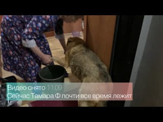 Видео от тамары фёдоровны логиновой