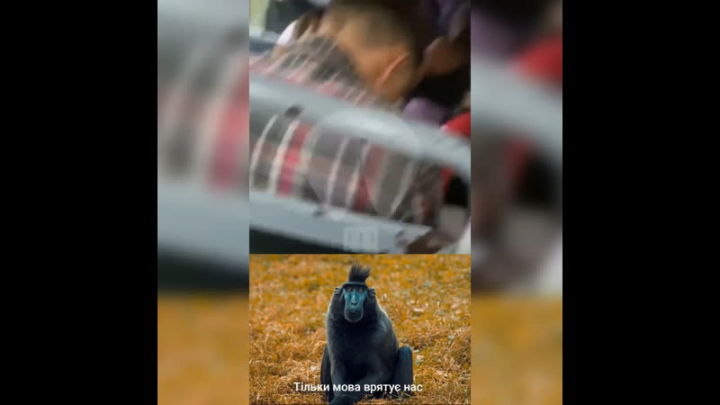 Каменец подольский хмельницкой области хуторяне напали на переселенцев за разговоры на русском языке