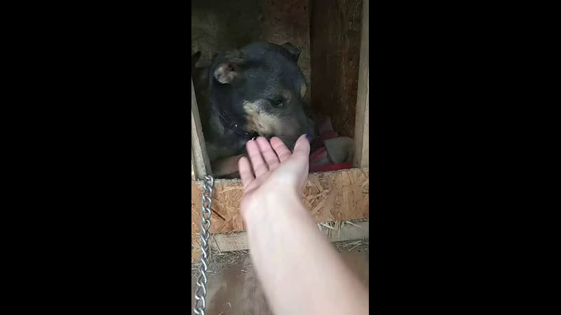 Ютта