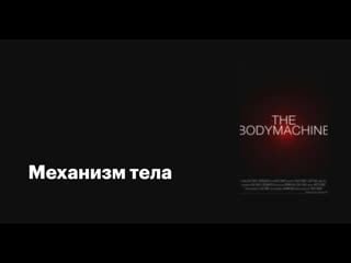 Механизмы организма / the body machine