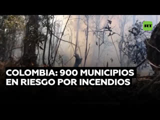 Casi 900 municipios colombianos podrían verse afectados por incendios forestales causados por el niño