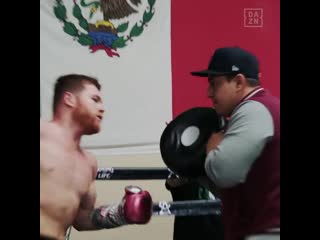 Canelo 20201215 4 mp4