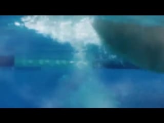 Трейлер 1 сезона барракуда (2016)