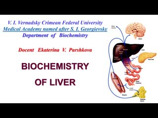 Docent ekaterina v parshkova department of biohemistry biohemistry of liver