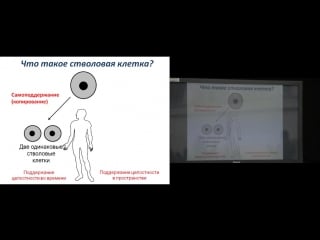 Сергей киселев стволовая клетка что день грядущий нам готовит