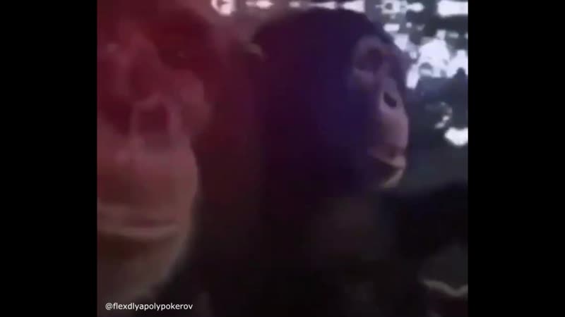 Ровные пацанчики с кааза едут в махачкалу