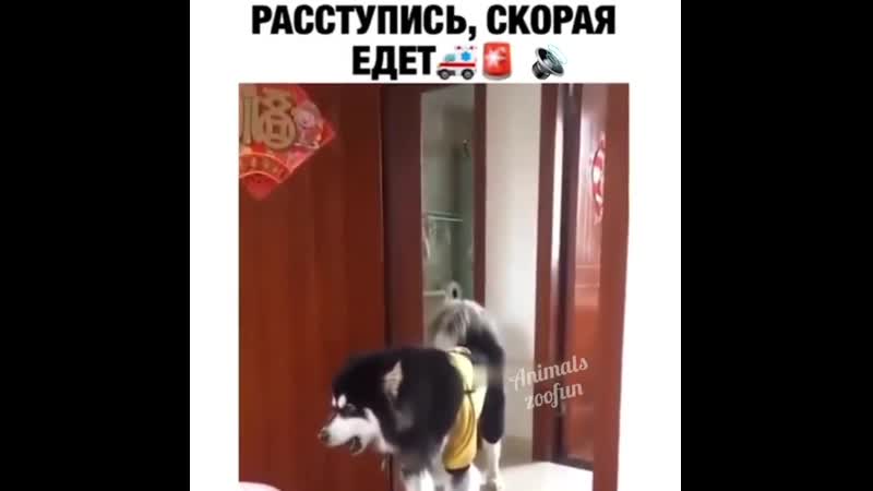 Раступись скорая едит
