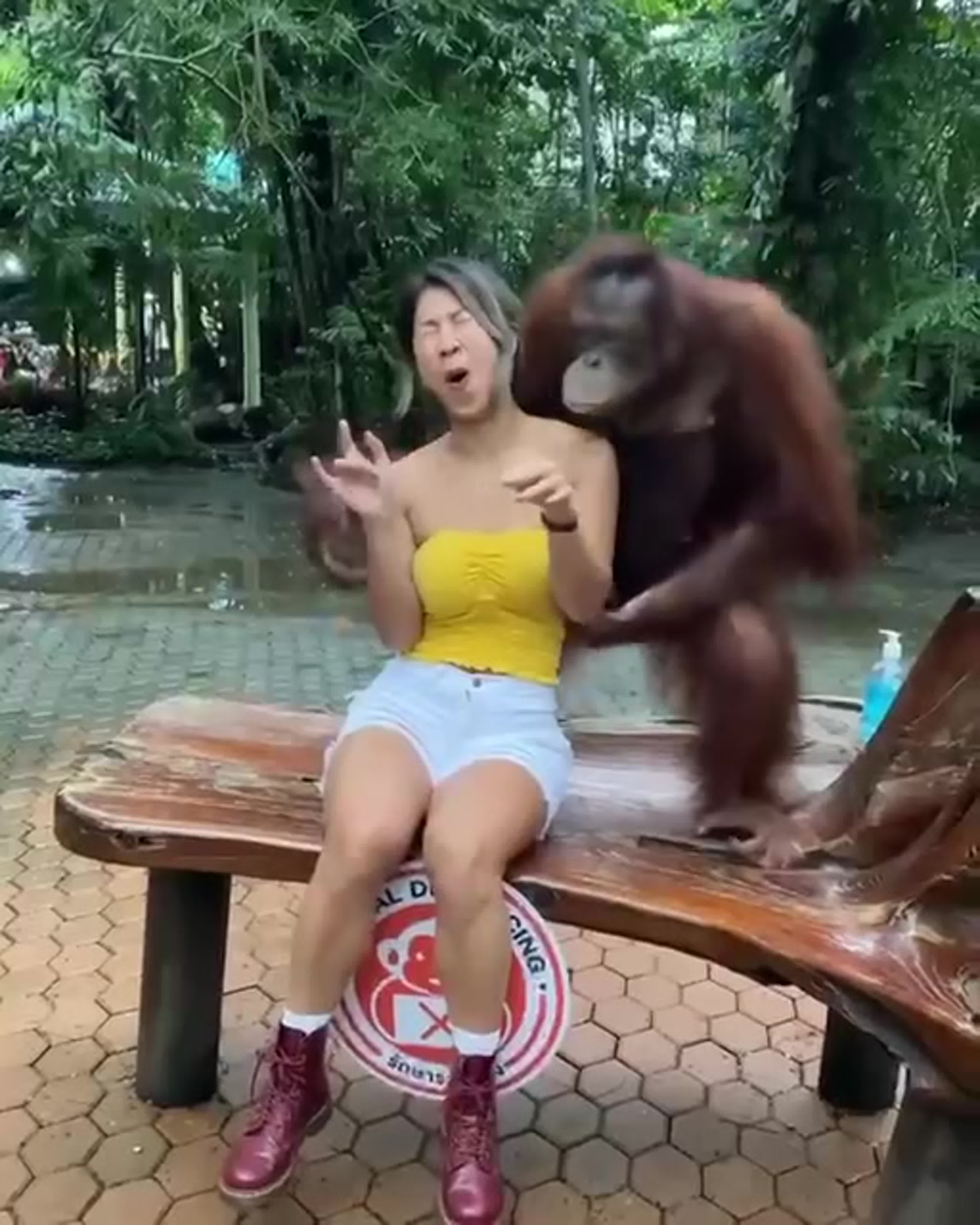 Fairy Tail секс комикстері