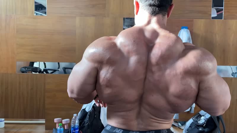 Hassan mostafa trains back