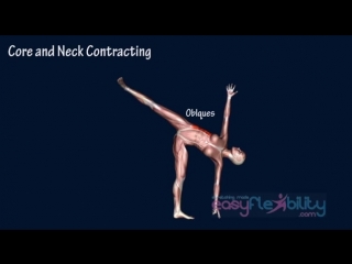 Sls how to half moon yoga muscle animation easyflexibility