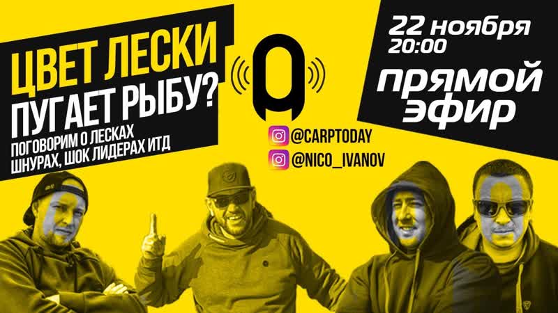 Цвет лески пугает рыбу? выбираем шнур для ловли карпа!