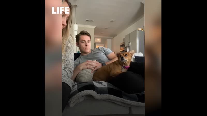 Отстань, это мой парень