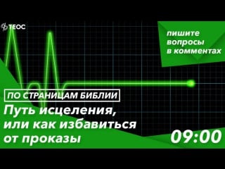 Книга левит от маленького пятнышка к смертельному исходу