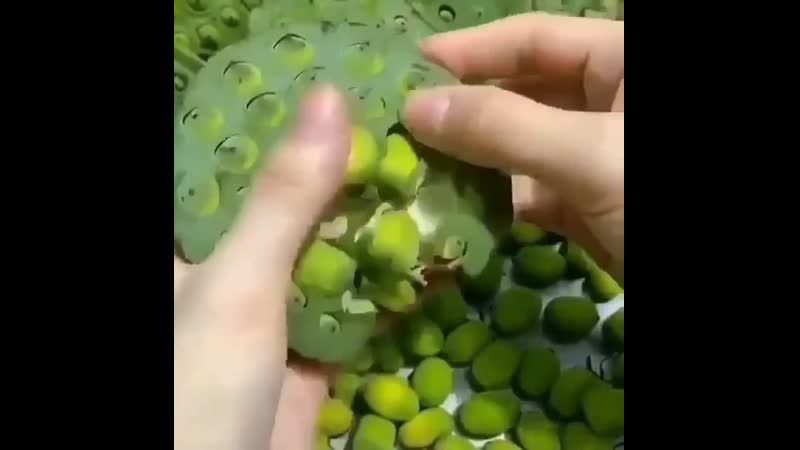 Я такое растение первый раз вижу