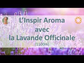 L'inspir aoma avec la lavande officinale