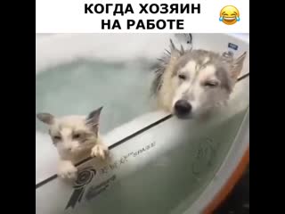 Womens table 20200414 215223 0 mp4