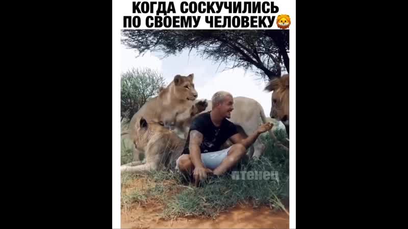 Пздц дикие кошки, ласковее чем моя домашняя морда, даже немного обидно 🤔