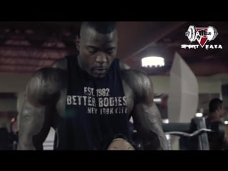 Mike rachid linn bailey овертренинг плечи sportfaza