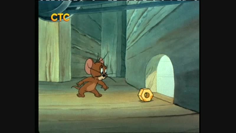 Охота на мышей