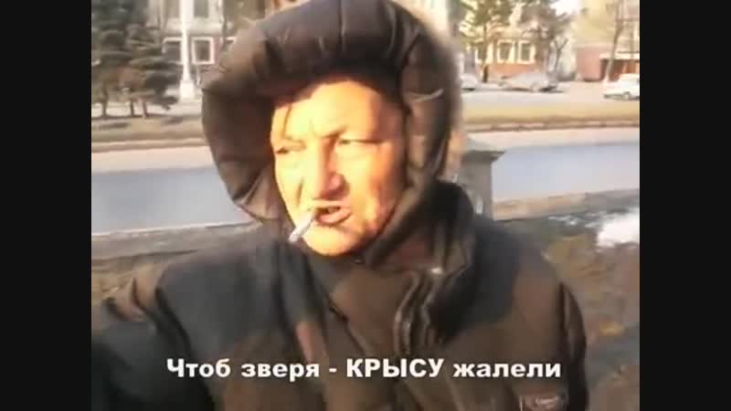 Крыса совсем ничья