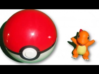 Pokeball + pokemon