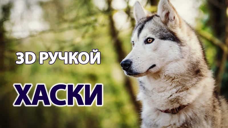 Как нарисовать молодые хаски 3d ручкой? | подробный видео урок | | 2019