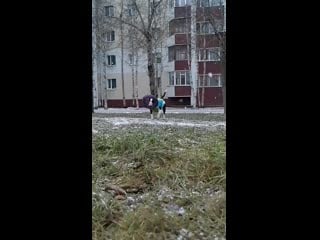 Sl mo vid 20201106 075049 mp4