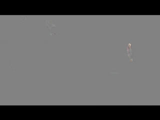 Колхозные мираклы live