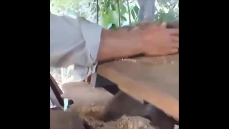 Ебама рама пилорама