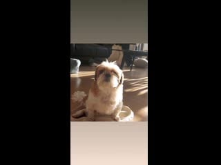 [210108] blue d 00 instastory update