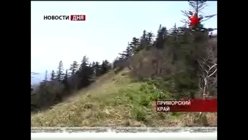Поисковики porn video – В приморье поисковики нашли самолёт времён вов