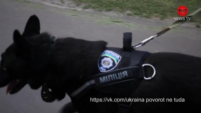 В чернигове на усиленное патрулирование заступило 125 бойцов нацгвардии