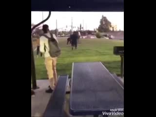 Tolerants reminded that they are only white pieces of meat for whipping