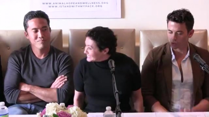 Шеннен доэрти на porn hope and wellness q&amp;a panel event7 мая 2017