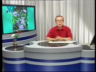 Цветы урок 3 9 необыкновенные астры