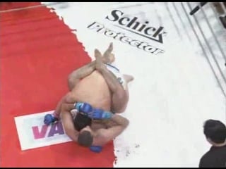 Маурисио руа akira shoji