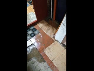 Vid 20191125 203807 mp4