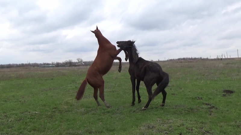 Простые движенья