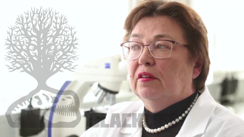 Ролик от blacklife гуминовые кислоты против вирусов и микробов