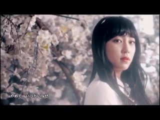 [mv] acacia red queen