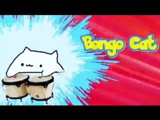 Pokemon, bongo cat
