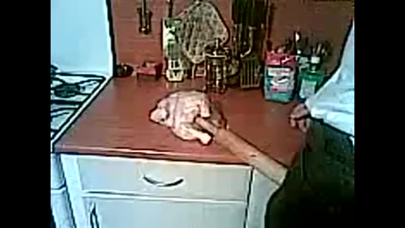 Курицы porn video – Трах курицы