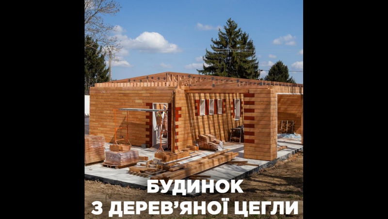 Деревяний будинок за 2 дні