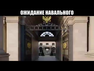 Dzen video 20210129 0001 mp4