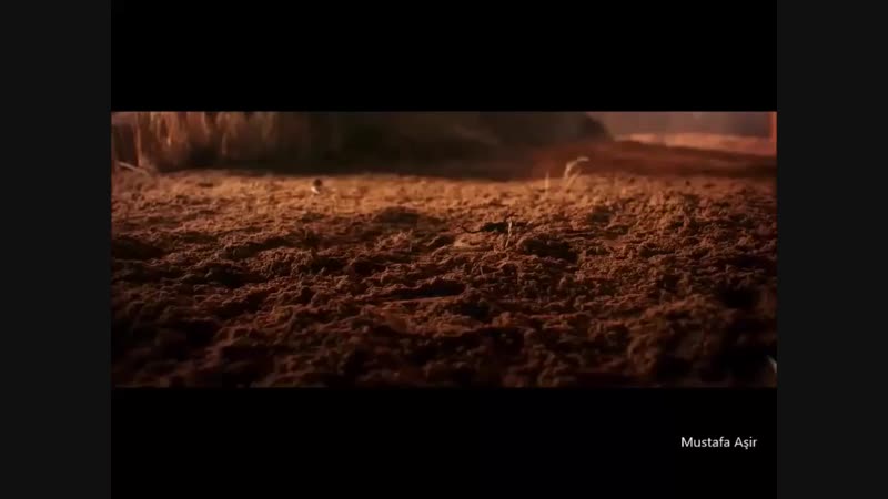 Efsane türk kazak şarkısı