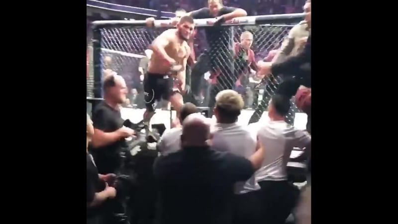 Момент нападения хабиба нурмагомедова на спарринг партнера конора макгрегора после боя [nr]