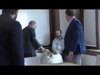 While campaigning in burlington, vermont yesterday, fmr mayor michael bloomberg met a dog