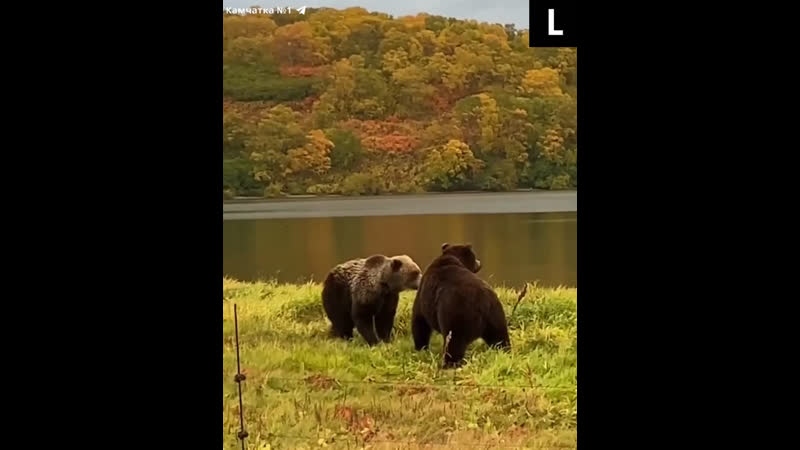 Осенний porn video – Осенний пейзаж